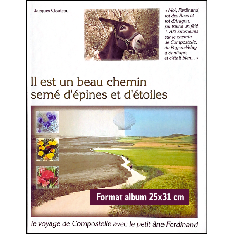 Il est un beau chemin semé d'épines et d'étoiles
