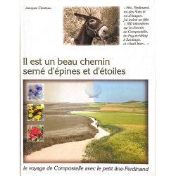 Il est un beau chemin semé...