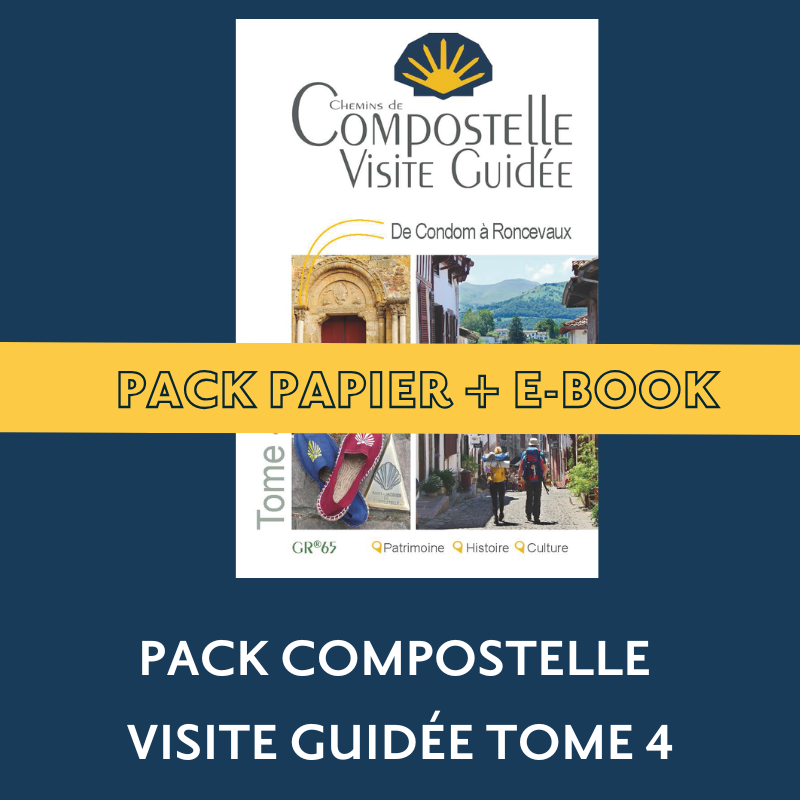 ** Pack guide papier + eBook ** Compostelle Visite Guidée : De Condom à Roncevaux (Tome 4)